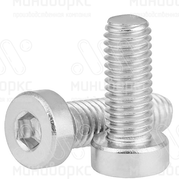 Болты, винты – DIN6912-M8x100 | картинка 2